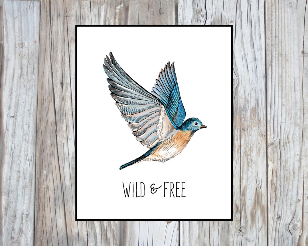 Instant Download Printable Art, Bird Nursery Wall Art, Bird Print ...