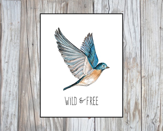 Instant Download Printable Art Bird Nursery Wall Art Bird | Etsy