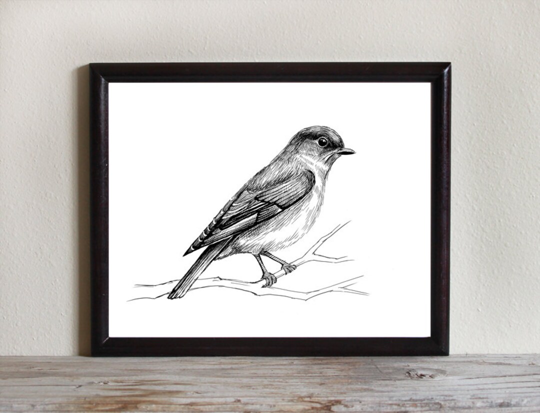 Bird Instant Download Printable Art, Bird Wall Art, Bluebird, Nature ...