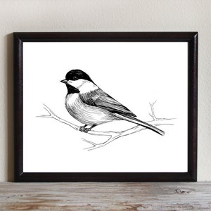 Bird Art Print, Instant Download Printable Art, Chickadee, Nature Wall Art, Hand Drawn, 8x10, 5x7, 4x6, Wildlife Drawing