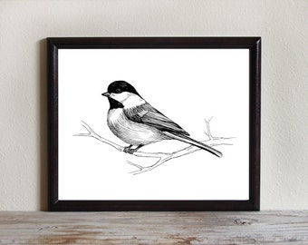 Bird Art Print, Instant Download Printable Art, Chickadee, Nature Wall Art, Hand Drawn, 8x10, 5x7, 4x6, Wildlife Drawing