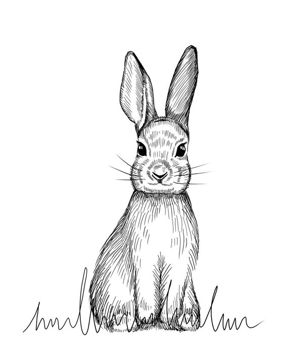 Adorable Easter Bunnies in Sketch and Watercolor Wonderland | MUSE AI