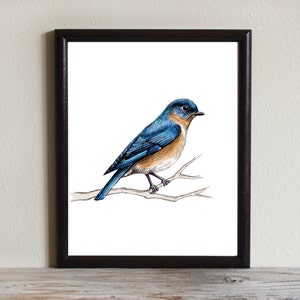 Bird Printable Art, Instant Download, Bluebird, Nature Wall Art, Bird Print, Hand Drawn, 8x10, 5x7, 4x6, Drawing