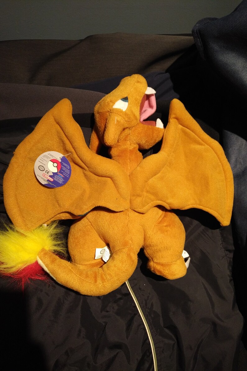 play by play charizard plush