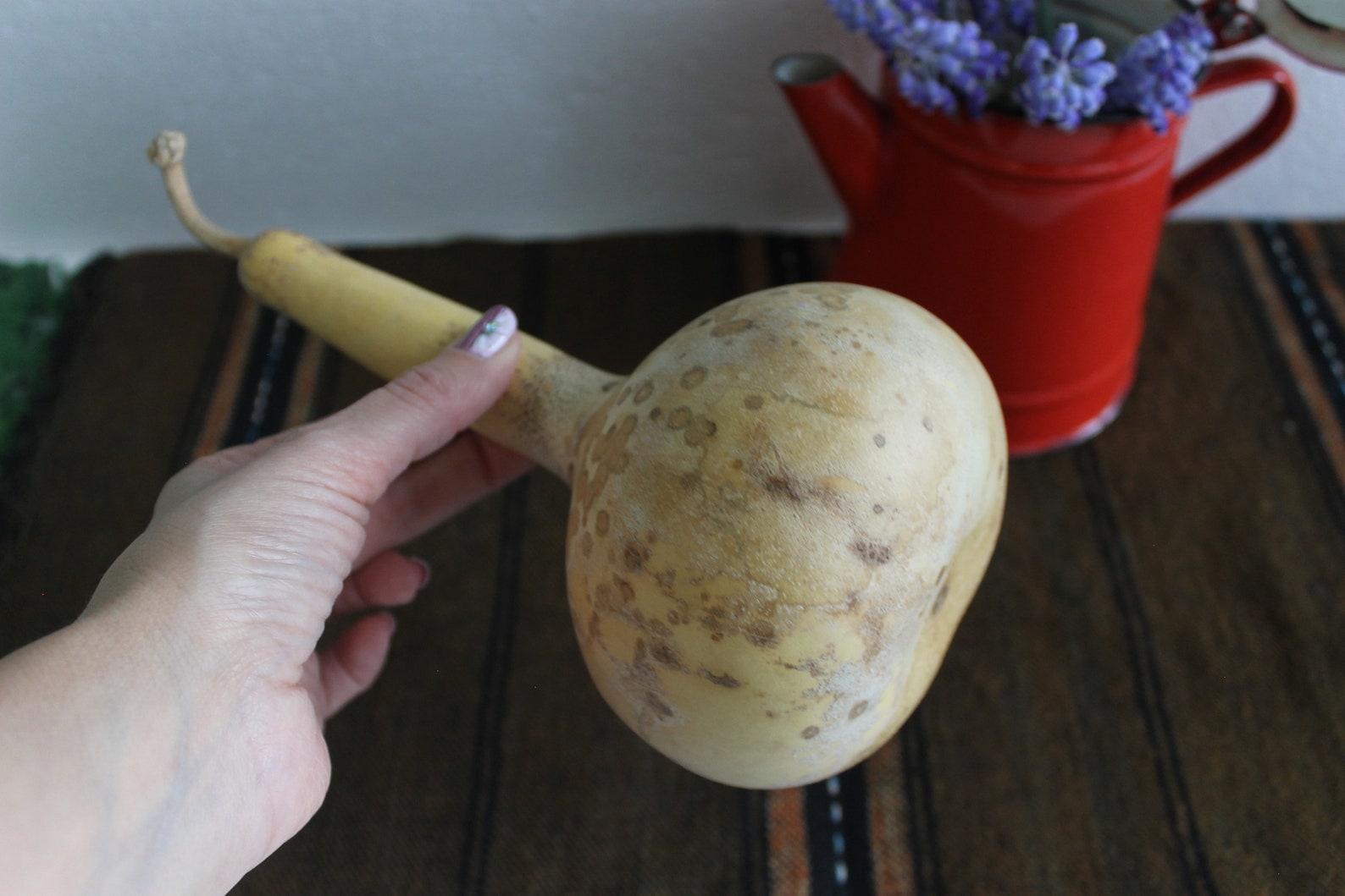 Vintage Dried Gourd Vintage Calabash with seeds Rustic Home Etsy