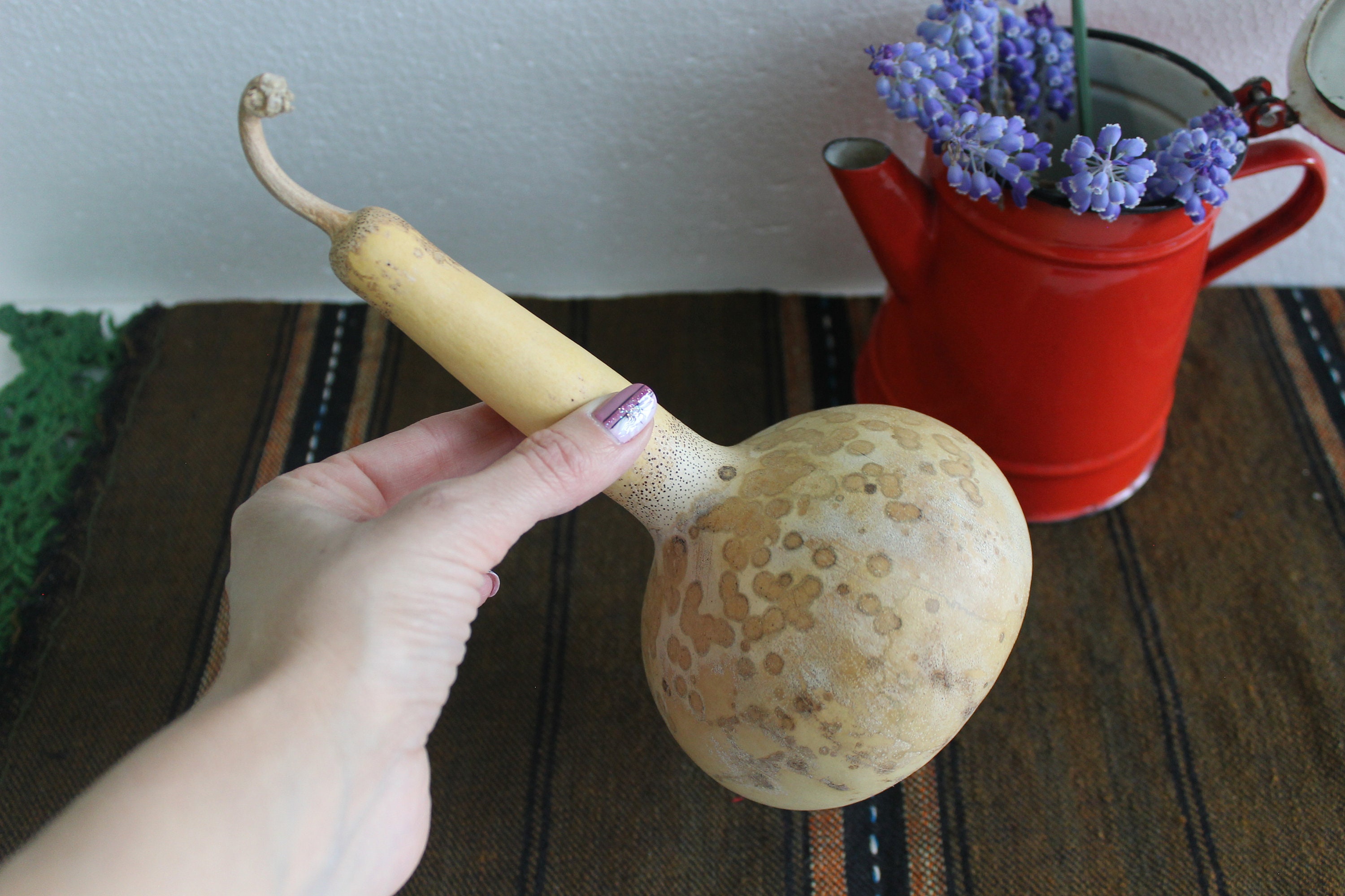 Vintage Dried Gourd Vintage Calabash with seeds Rustic Home Etsy