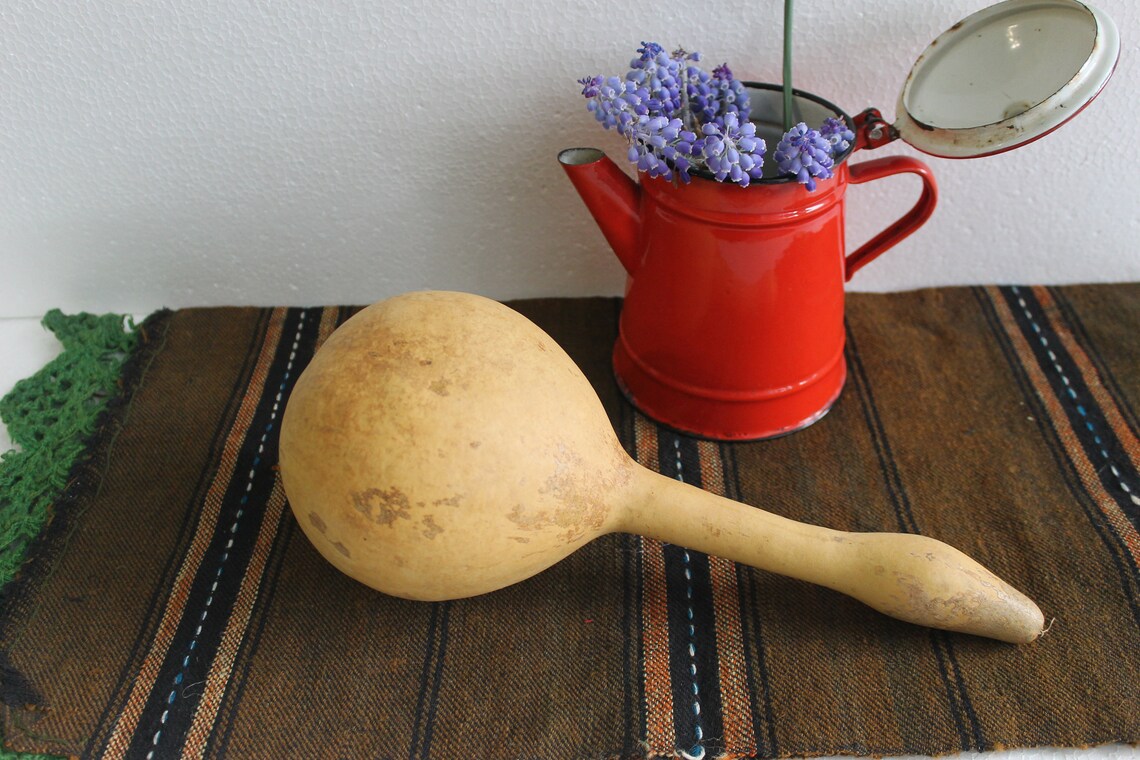 Vintage Calabash Dried Gourd with seeds Rustic Home Decor Etsy