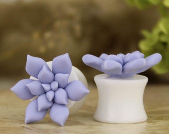 Succulent ear tunnels - ear plugs for gauged earlobes