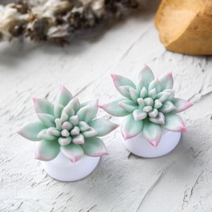 Succulent ear plugs Wedding ear gauges Bridal ear tapers Bridal plug earrings Echeveria plugs and tunnels Succulent gauges earrings