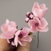 Trisc Traveling Wind reviewed Cherry blossom wedding hair accessories Wedding hair flowers Spring wedding hair pin Blossom hair pin Sakura jewelry Spring blossom hair