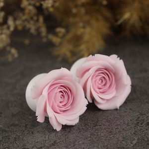 Bridal gauge earrings plugs Pastel pink rose flesh tunnels for wedding Custom design earrings