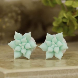 May include: A pair of light green succulent-shaped stud earrings. The earrings are made of a soft material and have a detailed, layered design. The earrings are displayed on a light brown surface with a blurred background of greenery.