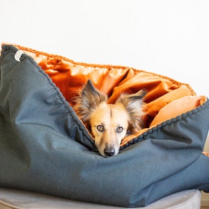 Puede incluir: Un perro marr&oacute;n y blanco con orejas ca&iacute;das asoma la cabeza desde una cama para perros de color gris oscuro y naranja. La cama est&aacute; rellena de un material suave de color naranja y tiene costuras decorativas alrededor de los bordes.