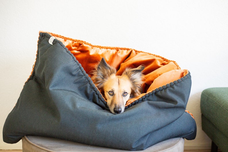 Puede incluir: Un perro marr&oacute;n y blanco con orejas ca&iacute;das asoma la cabeza desde una cama para perros de color gris oscuro y naranja. La cama est&aacute; rellena de un material suave de color naranja y tiene costuras decorativas alrededor de los bordes.