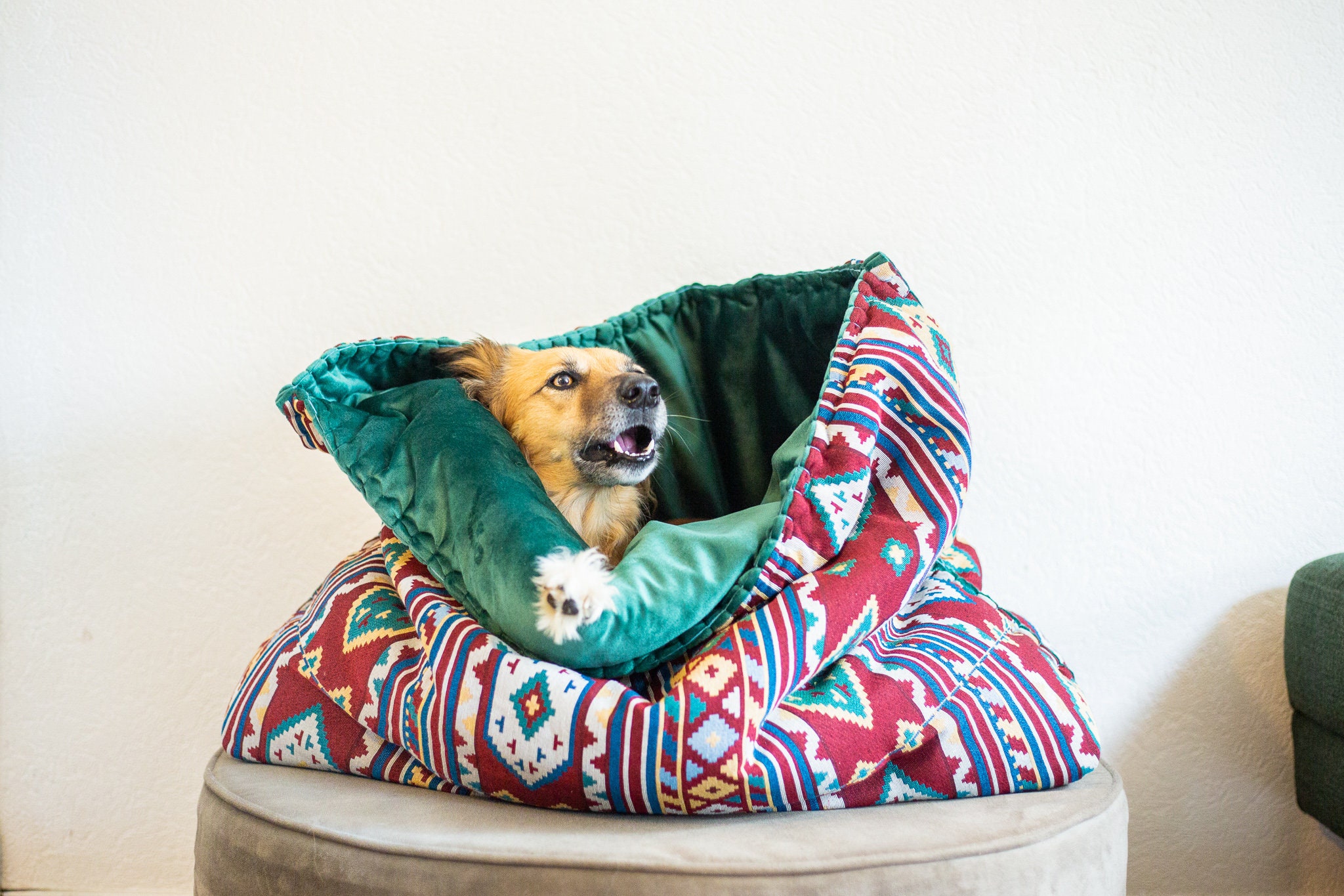 Dog bed anxiety top