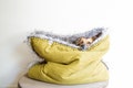 Mélange canvas - faux fur snuggle sack | cuddle cave | travel bed | anti-anxiety dog bed | anxiety relief | nest bed | puppy pocket product logo