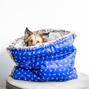 Puede incluir: Un perro marr&oacute;n y blanco asom&aacute;ndose de una cama para perros azul y blanca con un patr&oacute;n de anclas. La cama est&aacute; llena de un material blanco esponjoso.