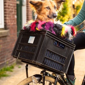 Puede incluir: Un perro marr&oacute;n y tostado con un abrigo de piel sint&eacute;tica de colores est&aacute; sentado en una caja de pl&aacute;stico negra unida a una bicicleta negra. La bicicleta tiene una llanta marr&oacute;n y un faro plateado.