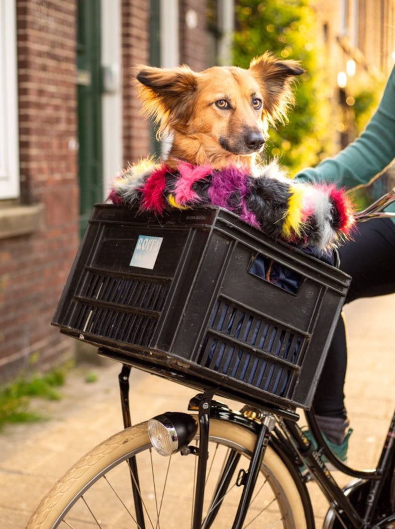 Puede incluir: Un perro marr&oacute;n y tostado con un abrigo de piel sint&eacute;tica de colores est&aacute; sentado en una caja de pl&aacute;stico negra unida a una bicicleta negra. La bicicleta tiene una llanta marr&oacute;n y un faro plateado.