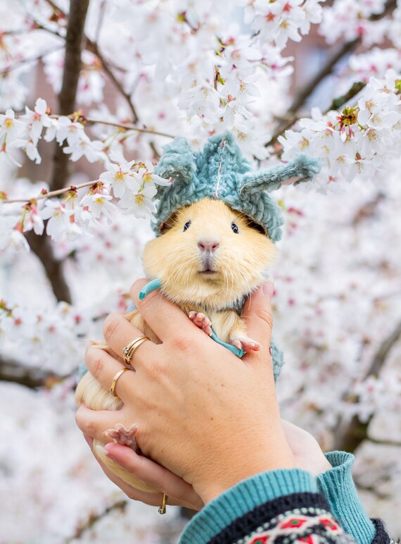 Pet Costume The Bunbun Cape Animal Sweater Handmade Furbaby Etsy
