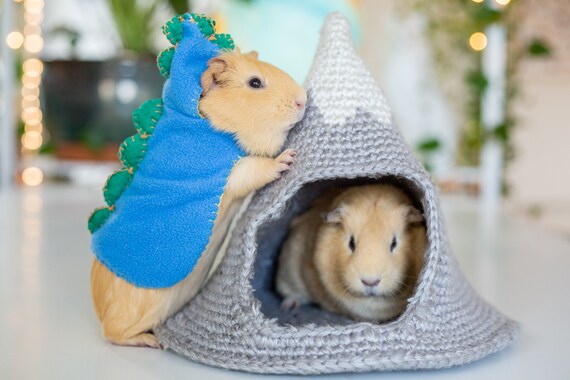 guinea pig dinosaur costume