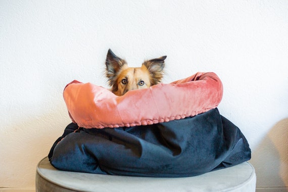 Rechercher les fabricants des Inflatable Dog Bed produits de