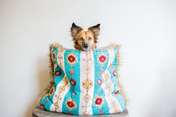 Dog bed store anxiety