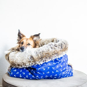 Puede incluir: Un perro marr&oacute;n y blanco con orejas ca&iacute;das est&aacute; acurrucado en una cama para perros azul y blanca con un patr&oacute;n de ancla. La cama est&aacute; llena de un forro de piel sint&eacute;tica marr&oacute;n y blanca.