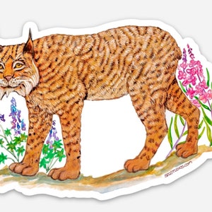 Lynx sticker or decal