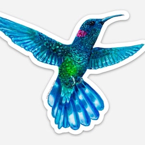 Hummingbird Sticker