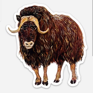 Muskox sticker or decal