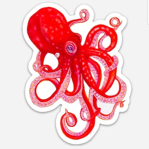 Octopus sticker waterproof vinyl