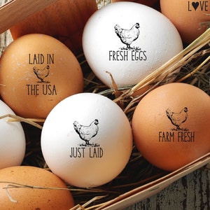 You Crack Me up Mini Egg Stamp, Funny Fresh Eggs Stamps for Farmers,  Original Homestead Egg Stamps, Funny Stamps for Eggs 