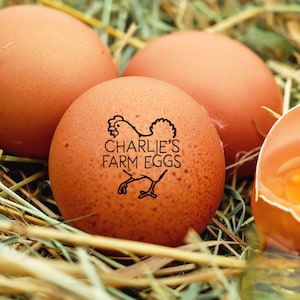 PERSONALIZED EGG STAMPS Custom  Gift Chicken Egg Stamp, Farm Chicken Coop Name Stamper, Farm Egg Label, Chicken Lover Gift, Mini Hen Stamp