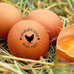 CUSTOM EGG STAMP Personalized Chicken Egg Stamp, Chicken Coop Name, Farm Egg Label, Chicken Gift, Round Mini Writing on Hen Egg For Farmer