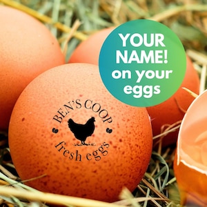 PERSONALIZED Egg Stamps Custom Egg Stamp, Farm Fresh Egg Stamp, Backyard Chicken Stamp Chicken Coop Chicken Egg Label Stamp, Farmer Gifts