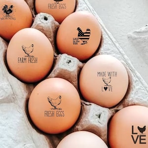 Chicken Egg Stamps Funny Eggs Stamps Cute Chicken Gift Homesteader Farmer, Farmhouse Housewarming Chicken Mom Gift, Mini Rubber Egg Stamps