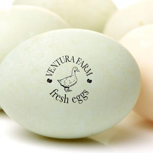 May include: A cluster of pale blue and off-white eggs, each stamped with a black circular logo featuring a duck illustration and the text Ventura Farm fresh eggs. The smooth, oval-shaped shells are arranged in a group against a white background.