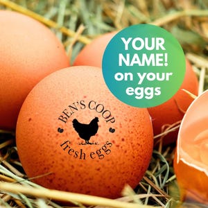 Custom Egg Stamp Personalized Chicken Egg Stamps, Chicken Coop Farm Fresh Egg Label, Chicken Egg Farmer Gift Idea, Mini Egg Stamper Hen Mom
