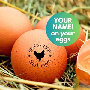 Egg Stamp Custom Egg Stamp, Gift for Friend Raising Chickens, Chicken Egg Stamp, Chicken Coop Name, Farm Eggs, Chicken Farmer Mini Stamp