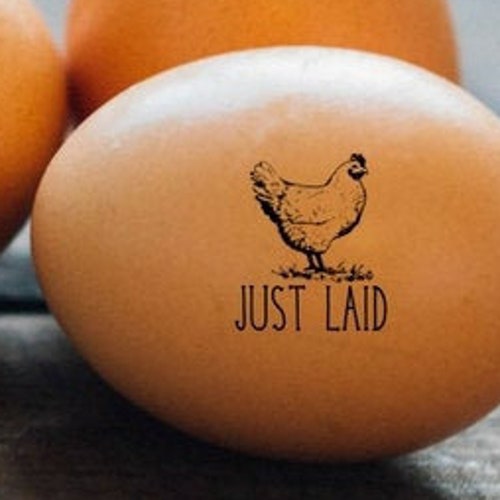 Chicken Coop Decor Coop Sweet Coop Doormat Chicken Gifts Etsy