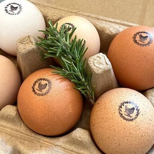 Chicken Egg Stamp Mini Egg Stamps Set, Hen in Wreath Egg Stamper, Farm Egg Stamp, Homesteader Farmer Gift, Chicken Mom Rubber Stamps