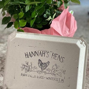 May include: A potted miniature rose plant with vibrant pink blossoms and green leaves, positioned behind a light-colored, rectangular cardboard egg carton. The carton features black text reading HANNAH'S HENS, FARM FRESH EGGS, WINTERSET, IA.