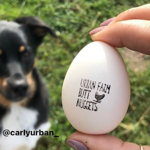 Egg Stamp Custom Gift Chicken Egg Stamps Personalized Farm Rubber Stamps, Farm Gift Chicken Lover, Backyard Farmer Chicken Owner Gift Idea