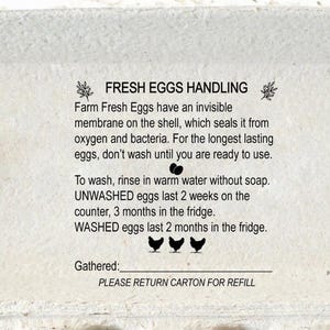 EGG HANDLING Stamp Egg Carton Stamp, Please Return Carton Egg Safety Instructions Stamp, Safe Eggs Information, Farm Fresh Eggs Stamper