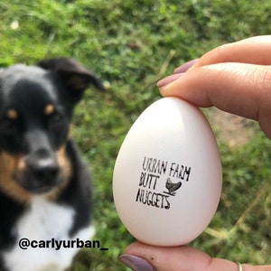 Custom Egg Stamp SHIPS FROM USA Personalized Chicken Egg Stamp, Chicken Coop Name, Farm Egg Label, Chicken Gifts, Round Mini Hen Egg Ideas