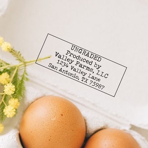 Egg Carton Stamp Personalized Farm Stamp Name Address Graded Ungraded Stamp, Custom Egg Carton, Required Farmers Market Tags Farm Fresh Eggs