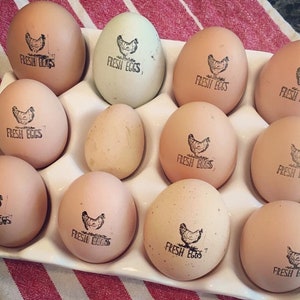 Fresh Eggs Stamp Chicken Egg Stamp Farm Fresh Eggs Stamp, Backyard Chicken Stamp, Farmhouse Egg Stamp Chicken Owner Gift Homestead Supplies Bild 2