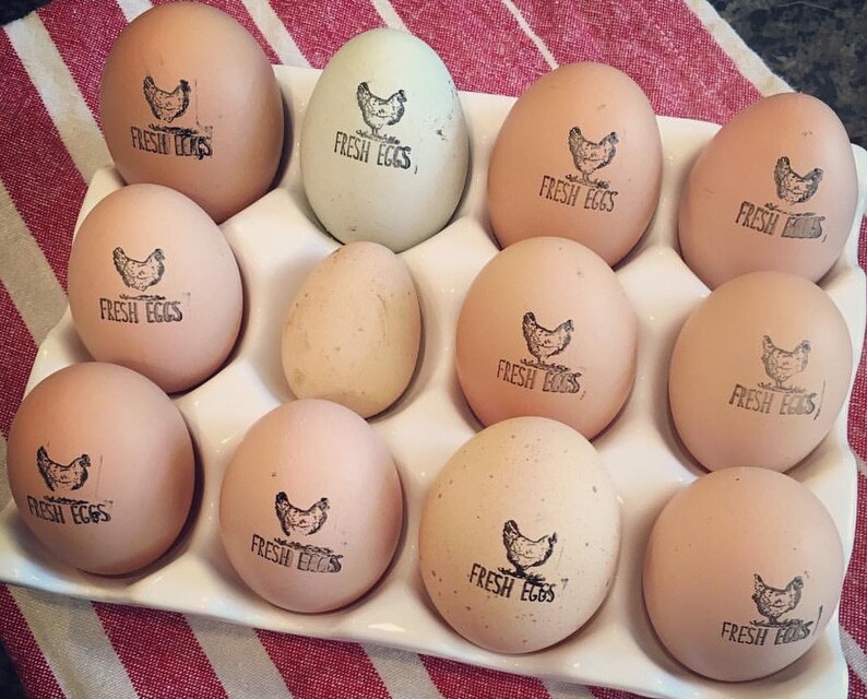 Fresh Eggs Stamp Chicken Egg Stamp Farm Fresh Eggs Stamp, Backyard Chicken Stamp, Farmhouse Egg Stamp Chicken Owner Gift Homestead Supplies Bild 2