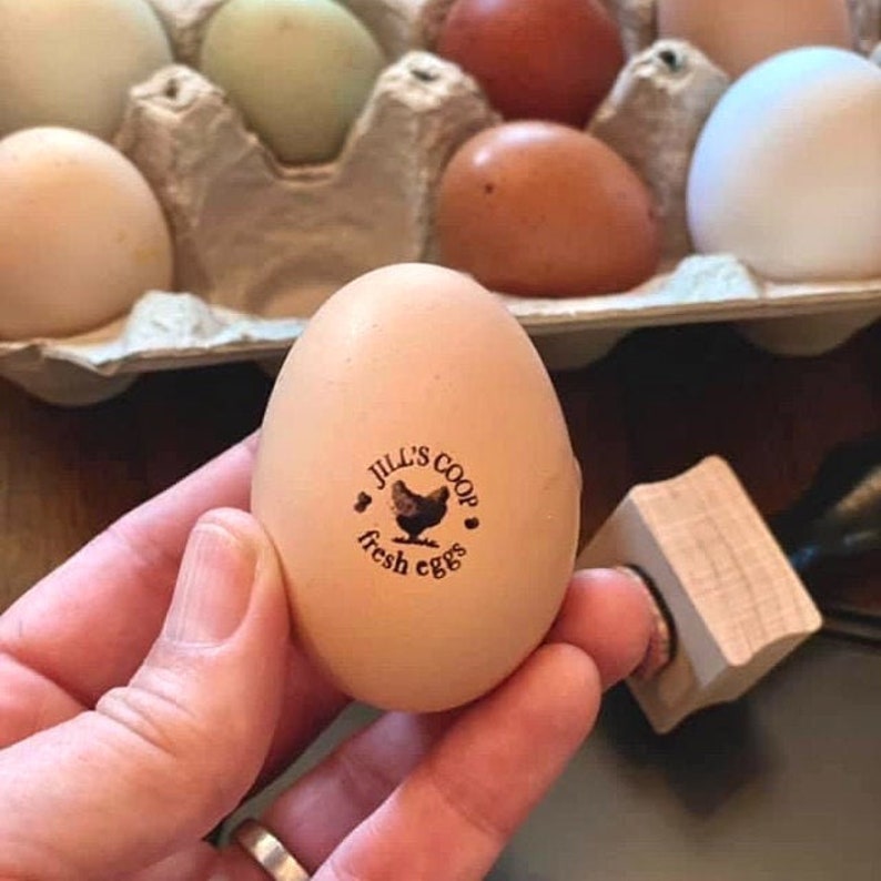 Egg Stamps Personalized Custom Egg Stamp, Chicken Coop Idea, Chicken Egg Stamp, Farm Stamper, Chicken Gifts, Hen Mini Egg Stamp For Farmer image 7